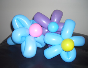 Flowers Balloon Twisting